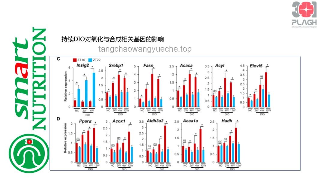 **差分宇宙科研新突破：抽血流青雀重塑DOT队巅峰表现对比解析**